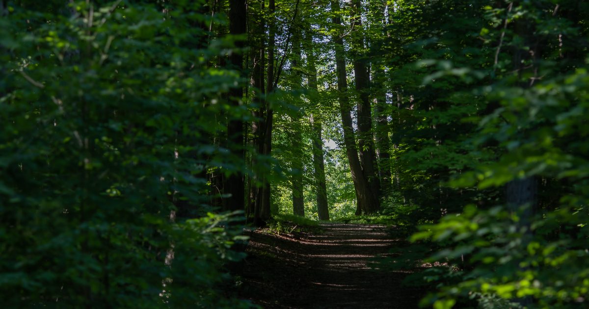 Manor Ridge Trail Trails | Punderson Manor State Park Lodge